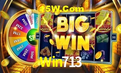 Login Seguro Win713