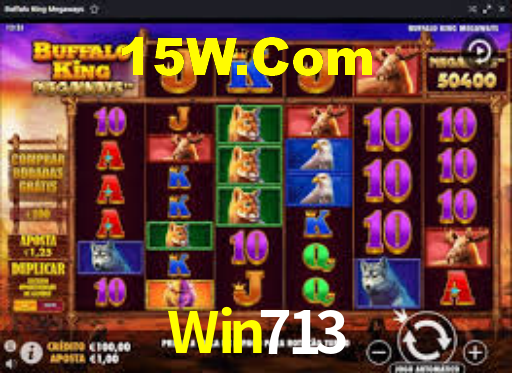 Win713